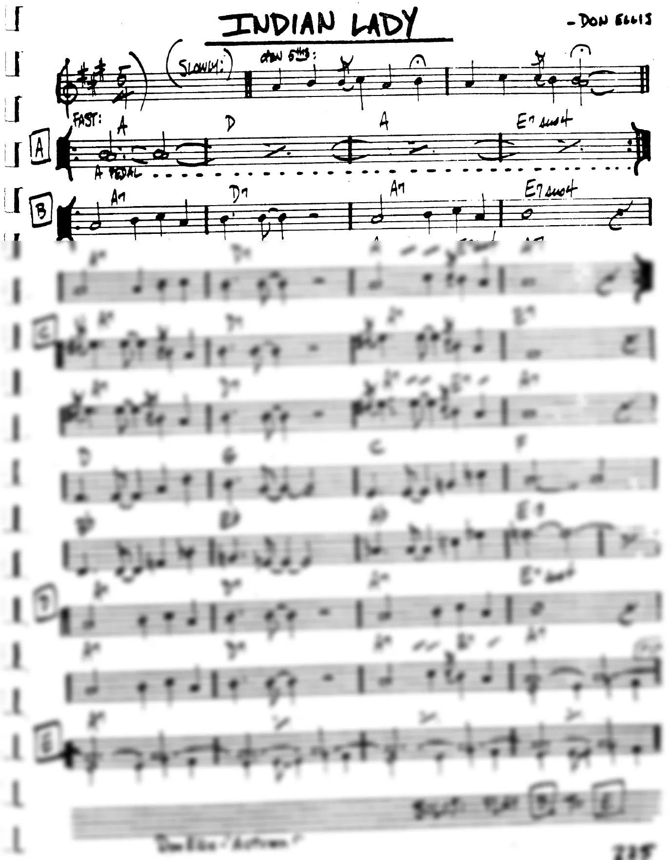 Vista previa de la partitura de Indian Lady para Lead sheet (clave de Do)